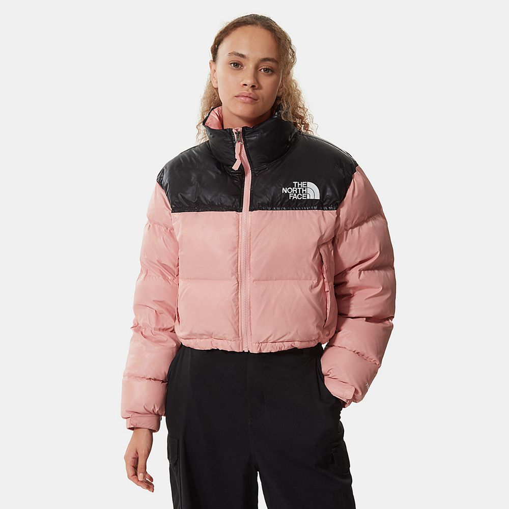 The North Face Nuptse Jacket Womens Australia - The North Face Short Rose Mountain (XDP-136529)